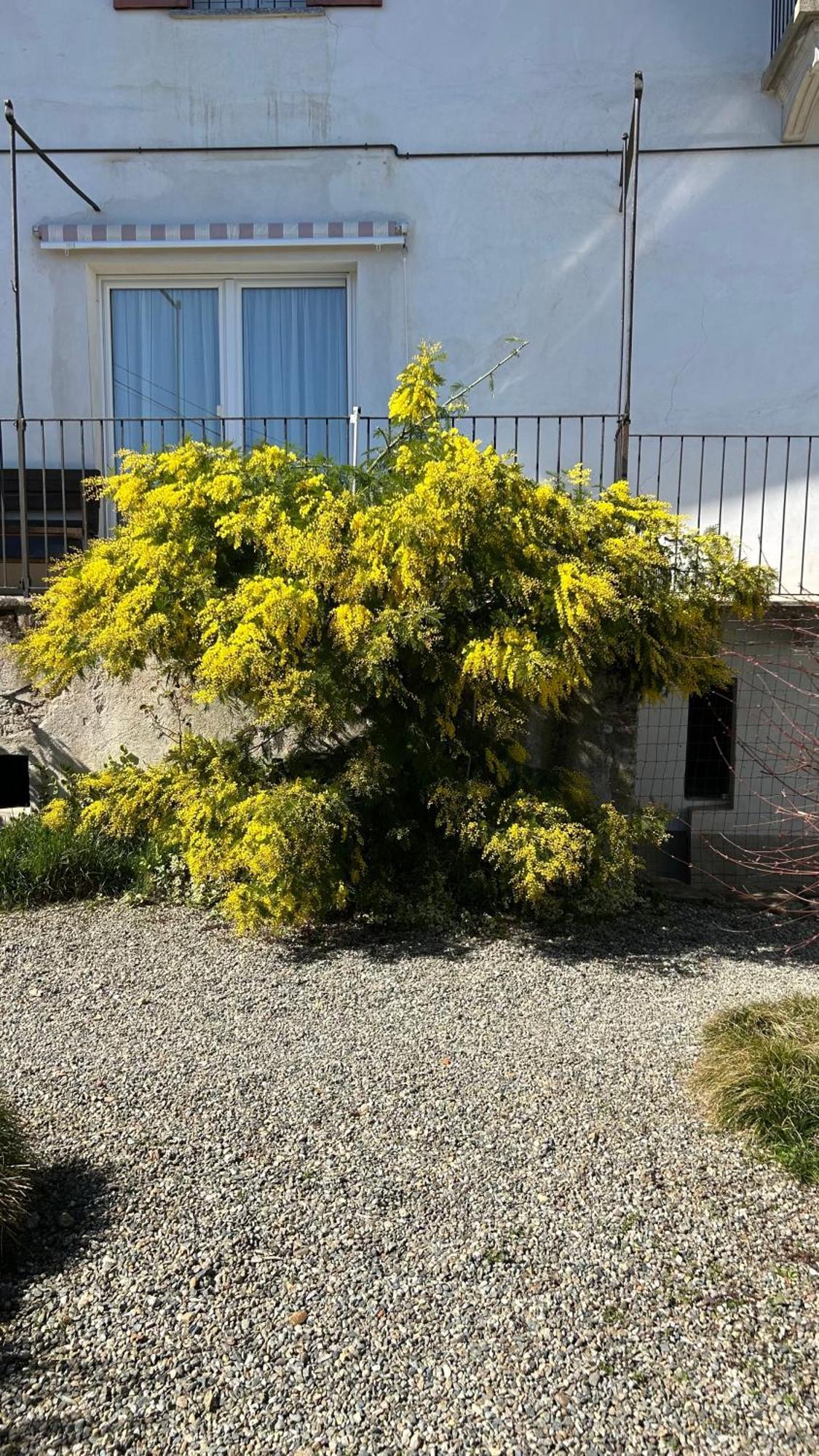 فندق La Casa Di Pietro Cerrione المظهر الخارجي الصورة